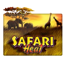 Joker123 : Safari Heat - SADABET138