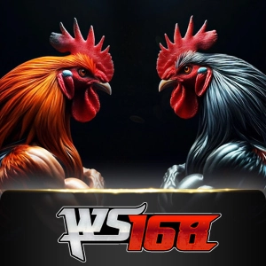 Ws168 Sabung - SADABET138