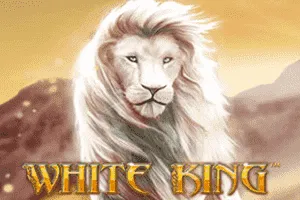 White King - SADABET138