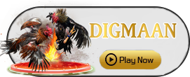 Digman - SADABET138